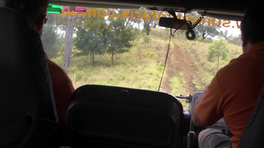 Ride-in-Bus-4WD